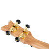 Ortega RUEL-MGR Element Series Concert Ukulele 4 String - Spruce / Catalpa Metallic Green + Bag