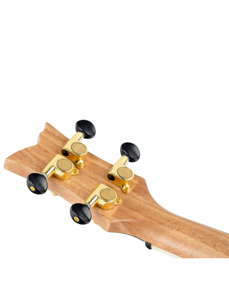 Ortega RUEL-MGR Element Series Concert Ukulele 4 String - Spruce / Catalpa Metallic Green + Bag