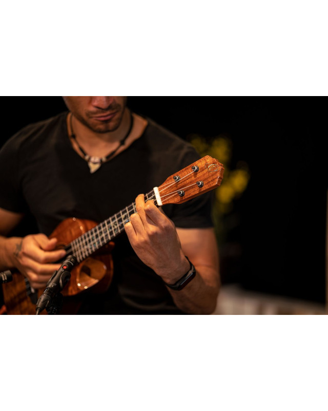 Ortega RUET-ACA Elite Series Concert Ukulele 4 String - Solid Acacia Natural + Bag