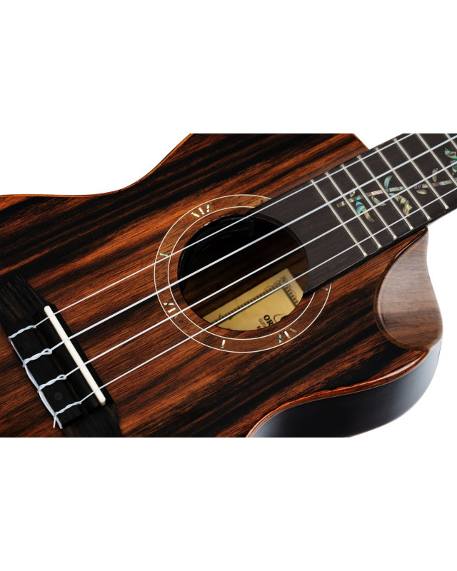 Ortega RUET-EB Elite Series Concert Ukulele 4 String - Solid Ebony Natural + Bag