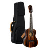 Ortega RUET-EB Elite Series Concert Ukulele 4 String - Solid Ebony Natural + Bag