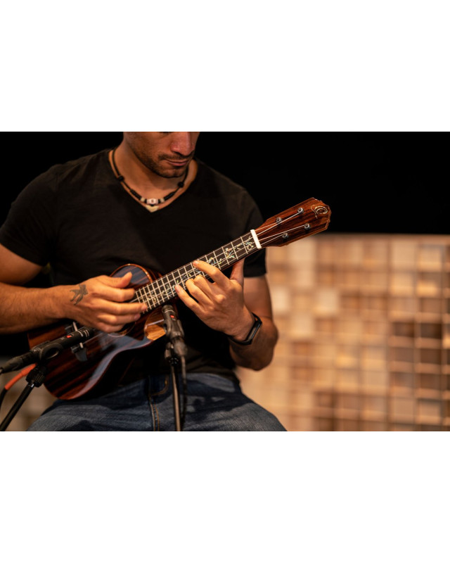 Ortega RUET-EB Elite Series Concert Ukulele 4 String - Solid Ebony Natural + Bag