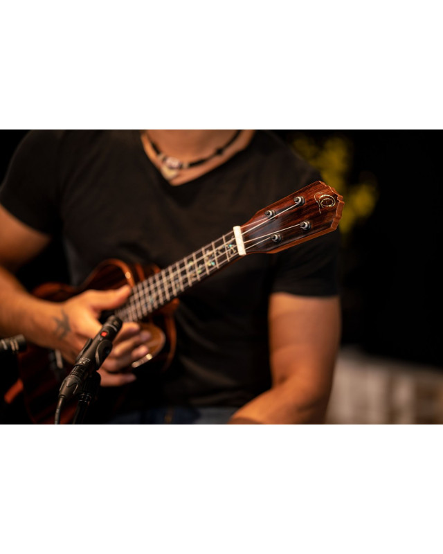 Ortega RUET-EB Elite Series Concert Ukulele 4 String - Solid Ebony Natural + Bag