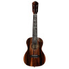 Ortega RUET-EB Elite Series Concert Ukulele 4 String - Solid Ebony Natural + Bag