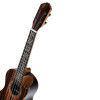 Ortega RUET-EB Elite Series Concert Ukulele 4 String - Solid Ebony Natural + Bag