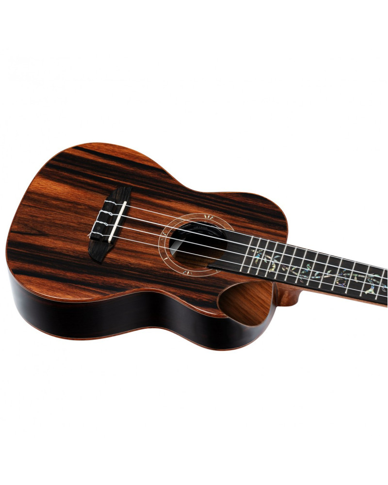 Ortega RUET-EB Elite Series Concert Ukulele 4 String - Solid Ebony Natural + Bag