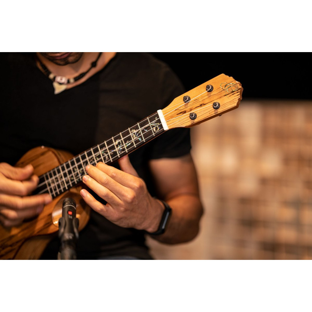 Ortega RUET-SMA Elite Series Concert Ukulele 4 String - Spalted Maple Natural + Bag
