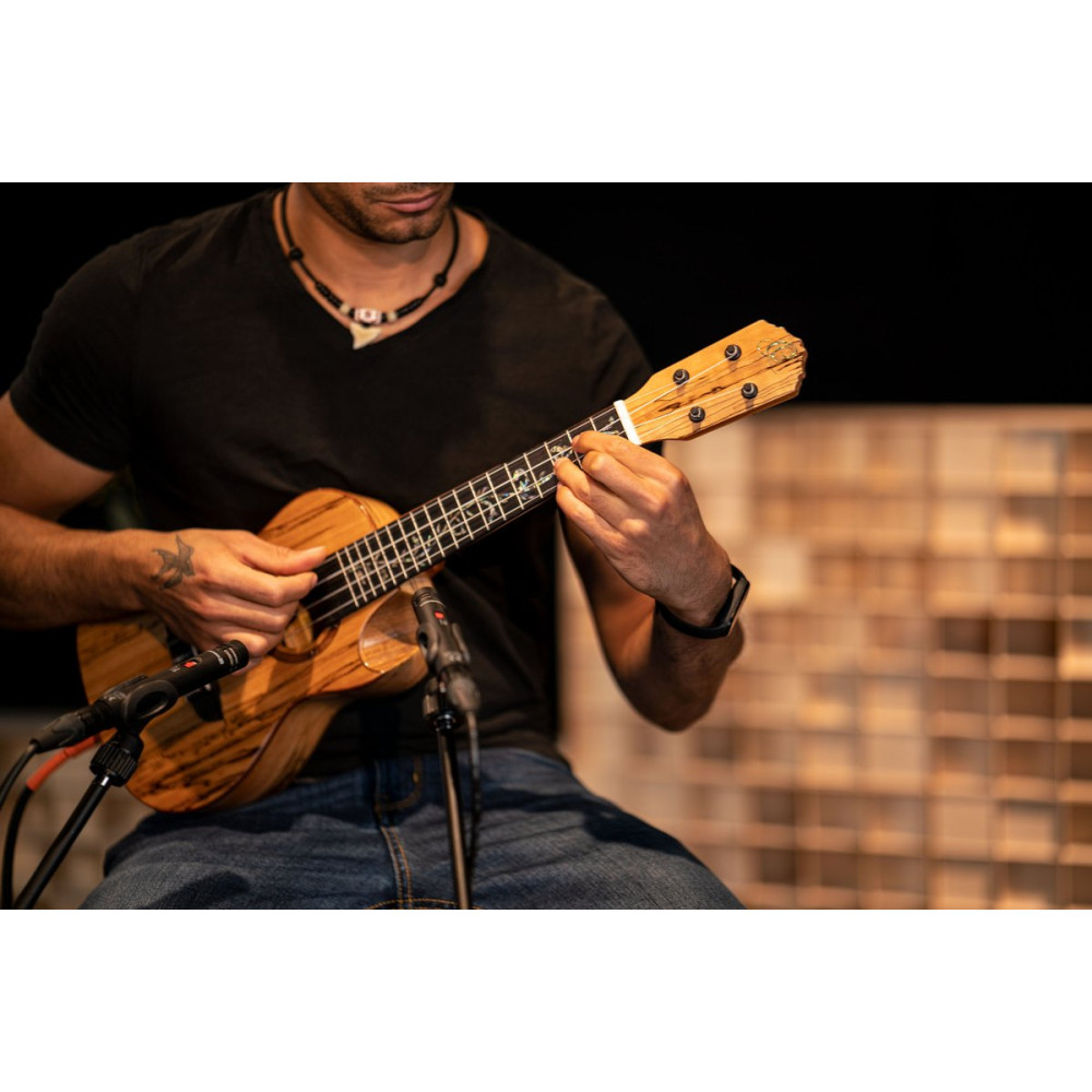 Ortega RUET-SMA Elite Series Concert Ukulele 4 String - Spalted Maple Natural + Bag