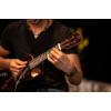 Ortega RUET-ZC Elite Series Concert Ukulele 4 String - Solid Ziricote Natural + Bag