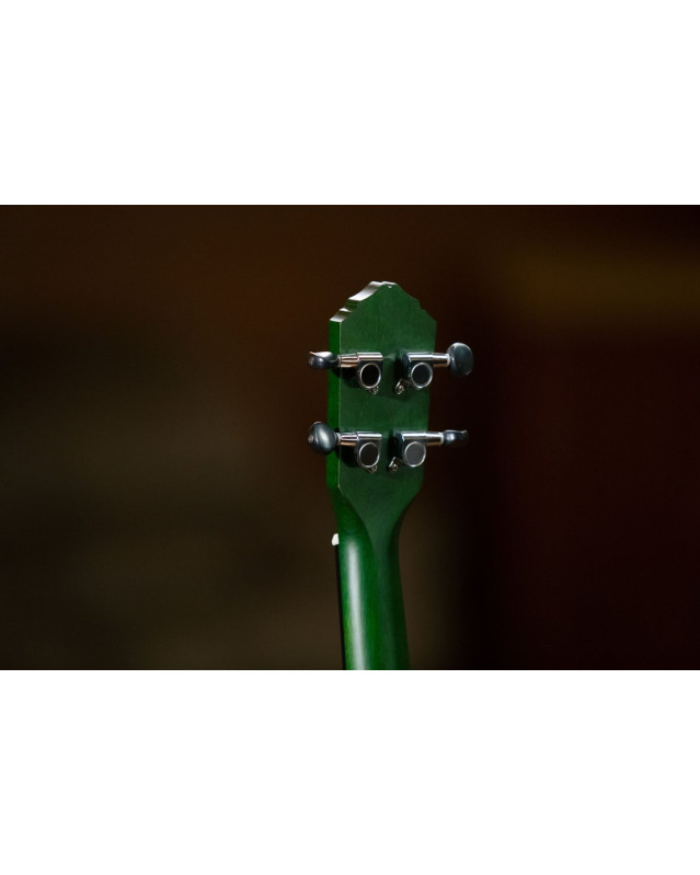 Ortega RUFOREST Earth Series Concert Ukulele 4 String - Forest Green