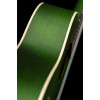 Ortega RUFOREST Earth Series Concert Ukulele 4 String - Forest Green