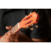 Ortega RUGA-ORG Gaucho Series Ukulele 4 String - Orange + Bag