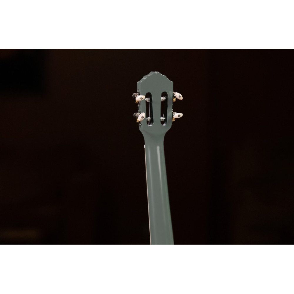 Ortega RUGA-PLT Gaucho Series Ukulele 4 String - Platinum Grey + Bag