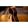 Ortega RUGH-BKT Ghost Series Tenor Ukulele 4 String