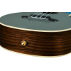Ortega RUGH-PLT Ghost Series Tenor Ukulele 4 String