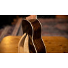 Ortega RUGH-PLT Ghost Series Tenor Ukulele 4 String