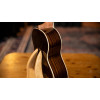 Ortega RUGH-SRT Ghost Series Tenor Ukulele 4 String