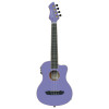 Ortega RUHZT-CE-VP Horizon Series Tenor Ukulele 4 String
