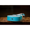 Ortega RULAGOON Earth Series Concert Ukulele 4 String - Lagoon