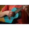 Ortega RULAGOON Earth Series Concert Ukulele 4 String - Lagoon