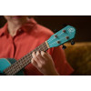 Ortega RULAGOON Earth Series Concert Ukulele 4 String - Lagoon
