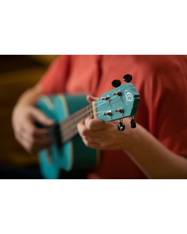 Ortega RULAGOON Earth Series Concert Ukulele 4 String - Lagoon