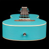 Ortega RULAGOON Earth Series Concert Ukulele 4 String - Lagoon