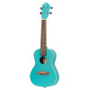 Ortega RULAGOON Earth Series Concert Ukulele 4 String - Lagoon