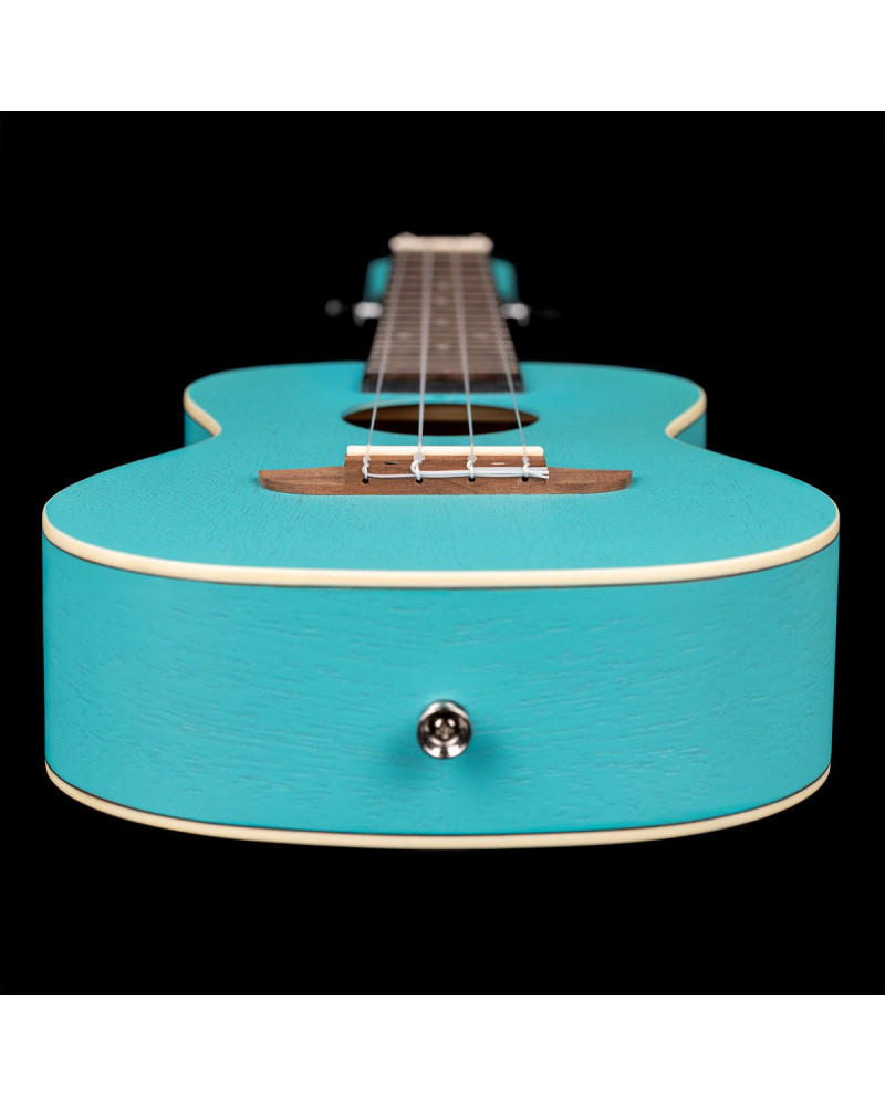 Ortega RULAGOON Earth Series Concert Ukulele 4 String - Lagoon