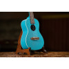 Ortega RULAGOON Earth Series Concert Ukulele 4 String - Lagoon