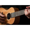 Ortega RUMG Horizon Series Concert Ukulele 4 String - Mango Natural + Bag