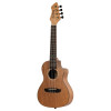 Ortega RUMG-CE Horizon Series Concert Preamp Ukulele 4 String - Mango Natural + Bag