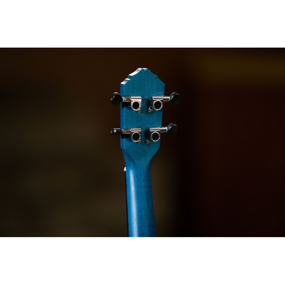 Ortega RUOCEAN Earth Series Concert Ukulele 4 String - Ocean Blue