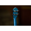 Ortega RUOCEAN Earth Series Concert Ukulele 4 String - Ocean Blue