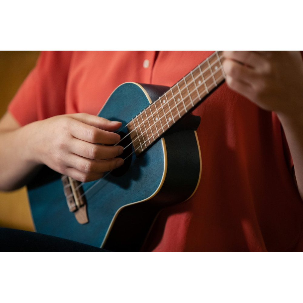 Ortega RUOCEAN Earth Series Concert Ukulele 4 String - Ocean Blue