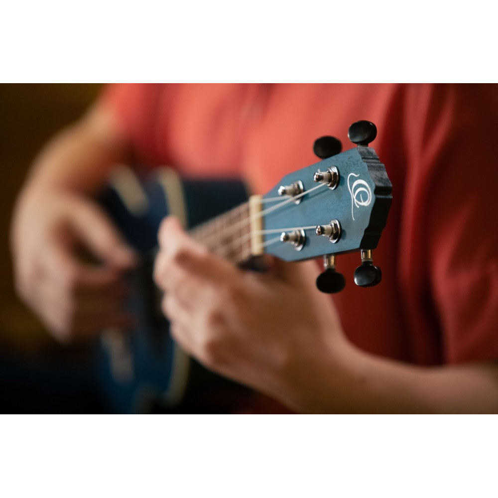 Ortega RUOCEAN Earth Series Concert Ukulele 4 String - Ocean Blue