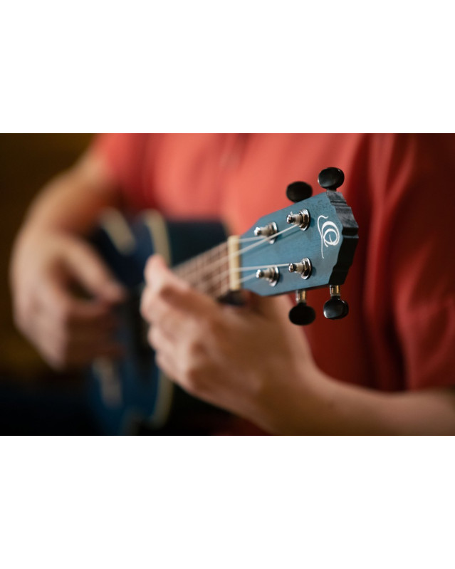 Ortega RUOCEAN Earth Series Concert Ukulele 4 String - Ocean Blue