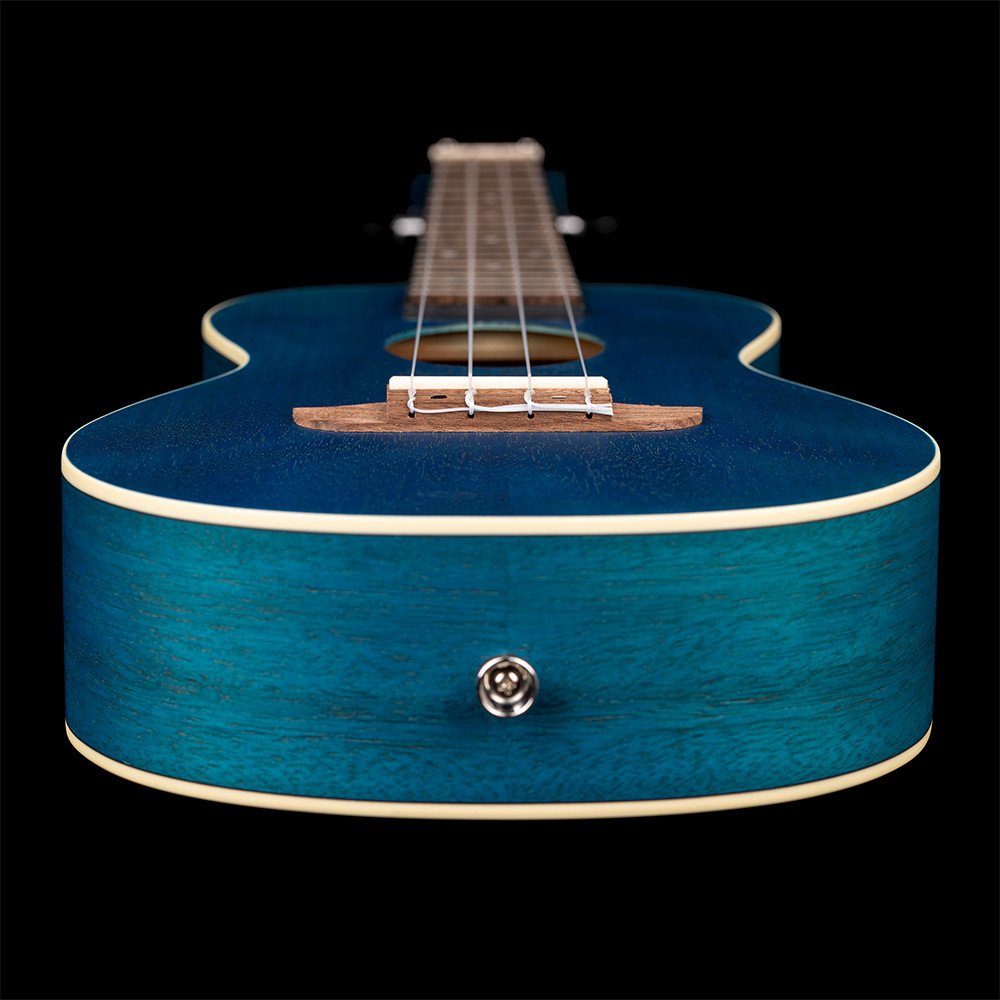 Ortega RUOCEAN Earth Series Concert Ukulele 4 String - Ocean Blue
