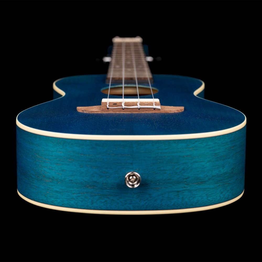 Ortega RUOCEAN Earth Series Concert Ukulele 4 String - Ocean Blue