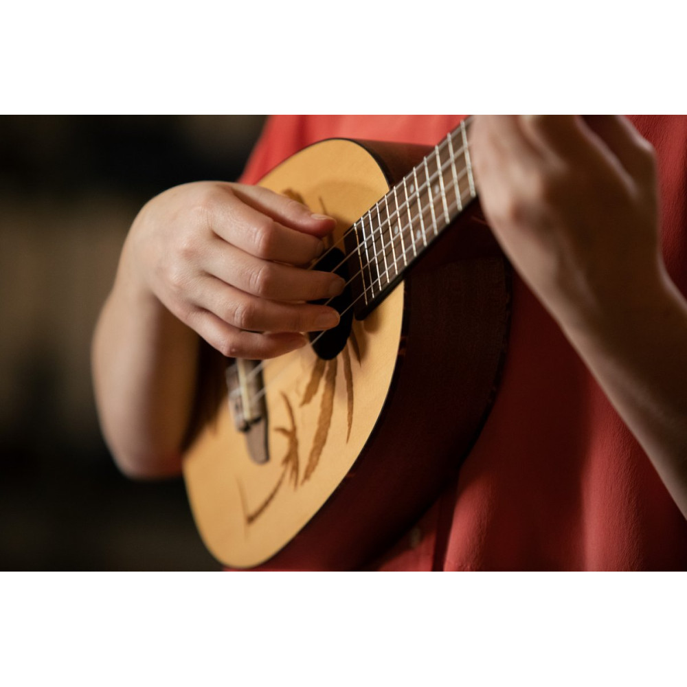 Ortega RUPA5 Bonfire Series Concert Ukulele 4 String - Spruce/Sapele Natural