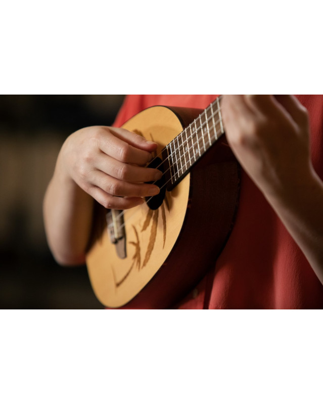 Ortega RUPA5 Bonfire Series Concert Ukulele 4 String - Spruce/Sapele Natural