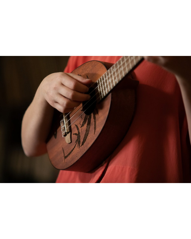 Ortega RUPA5MM Bonfire Series Concert Ukulele 4 String - Sapele Natural