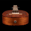 Ortega RUPA5MM Bonfire Series Concert Ukulele 4 String - Sapele Natural