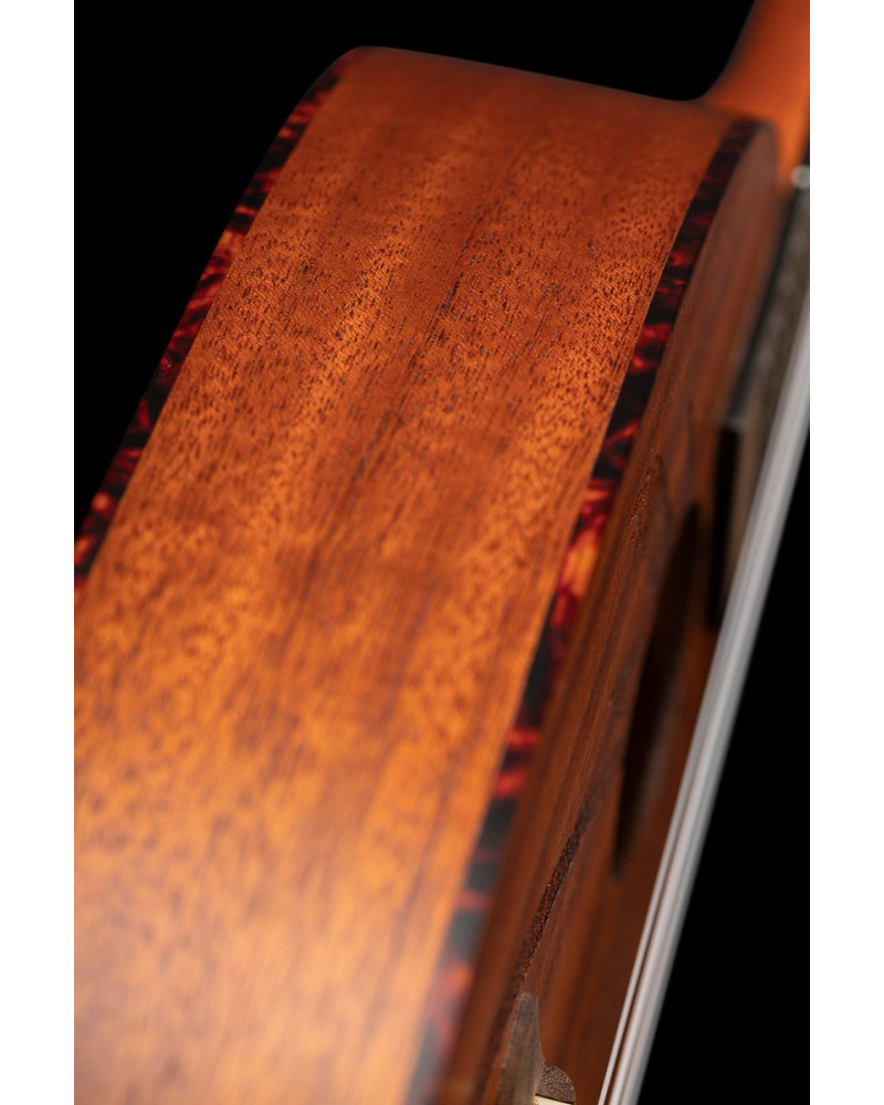 Ortega RUPA5MM Bonfire Series Concert Ukulele 4 String - Sapele Natural