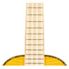 Ortega RUPR-TQB Prism Series Tenor Ukulele 4 String - Flamed Maple Tequila Burst Fade + Bag