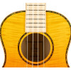 Ortega RUPR-TQB Prism Series Tenor Ukulele 4 String - Flamed Maple Tequila Burst Fade + Bag