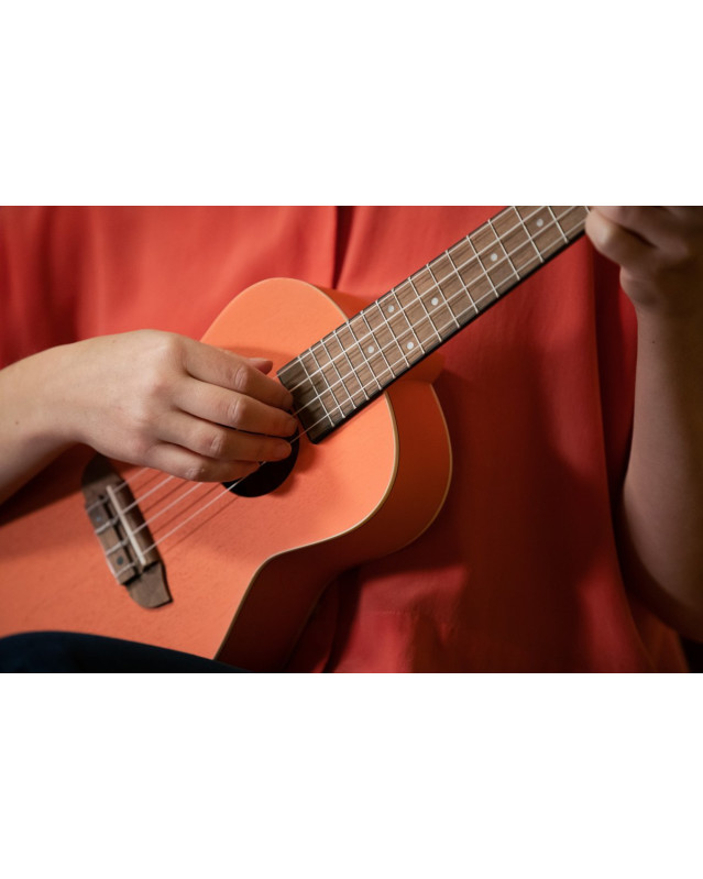 Ortega RUPUKI Earth Series Concert Ukulele 4 String - Hokkaido Pumpkin Orange