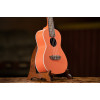 Ortega RUPUKI Earth Series Concert Ukulele 4 String - Hokkaido Pumpkin Orange