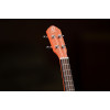 Ortega RUPUKI-CE Earth Series Concert Preamp Ukulele 4 String - Hokkaido Pumpkin Orange