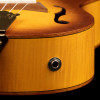 Ortega RUSL-HSB Custom Built Series Concert Ukulele 4 String - Honey Sunburst + Bag